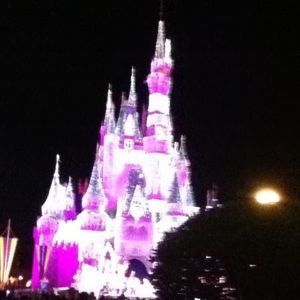 Meet your Posher, Baxter